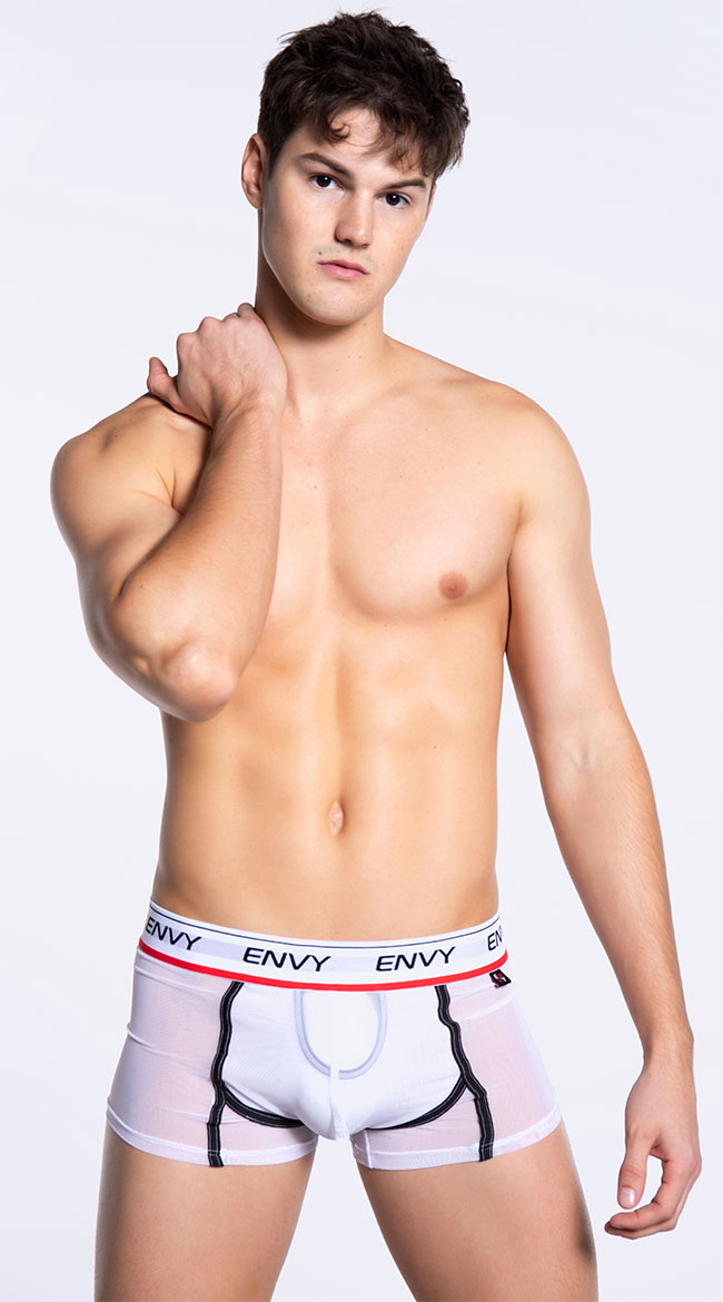 Men S Shane Low Rise Mesh Brief Men S Brief Lingerie Yandy