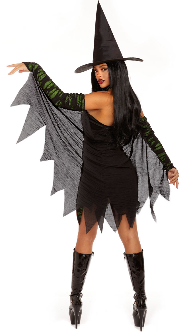Miss Enchantment Costume - As Shown