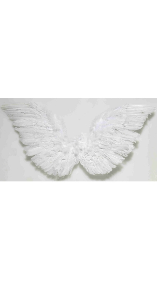 Small Angel Wings - As Shown