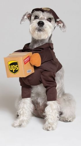 UPS Pal Dog Costume