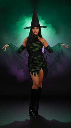 Miss Enchantment Costume