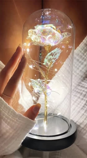 Galaxy Enchanted Rose LED Lamp