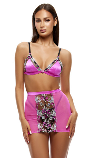 Embroidered Floral Lace Bra And Skirt Set