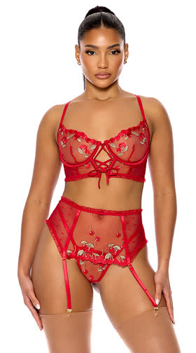 Just A Taste Embroidered Bra and Waist Cincher Set