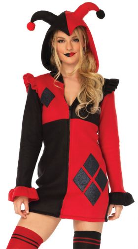 Cozy Harlequin Costume