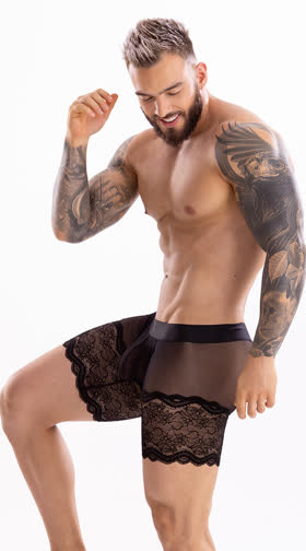 Men's Mesh and Lace Brief