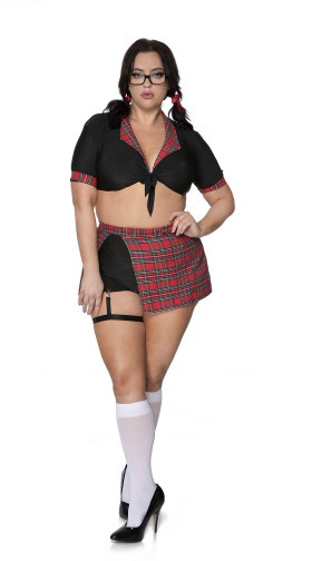 Plus Size Sexy Plaid Schoolgirl Costume