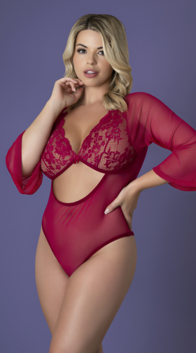 Plus Size Sheer Lace and Mesh Long Sleeve Teddy 