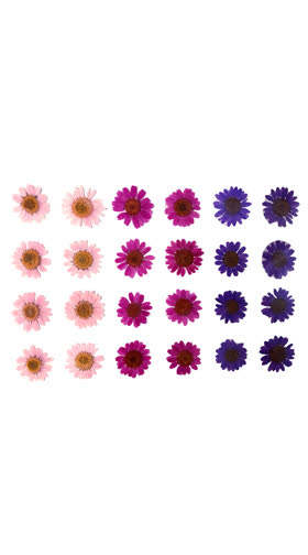 Garden Goddess Dried Floral Body Stickers