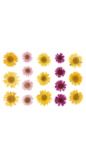 Indio Empress Dried Floral Body Stickers