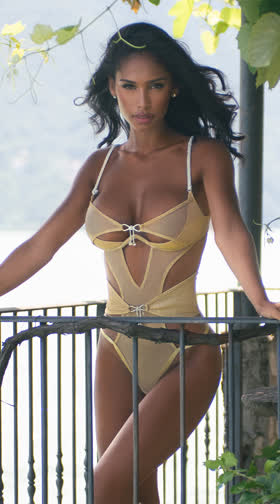 Gilded Beauty Teddy