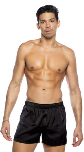 Champion Boxer