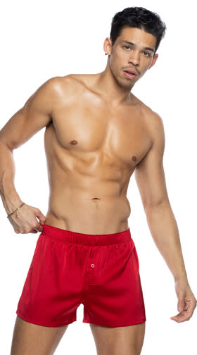 Champion Boxer