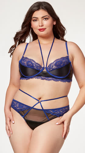 Plus Size Opulent Satin and Lace Bra Set