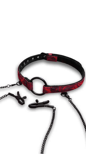 Rosegasm Open Mouth Gag and Nipple Clips Set