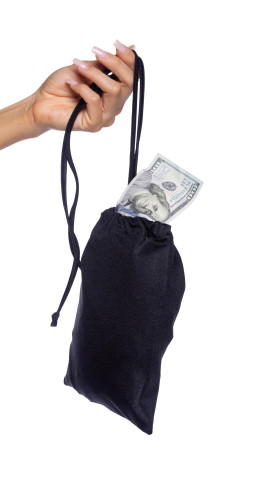 Metallic Iridescent Money Bag