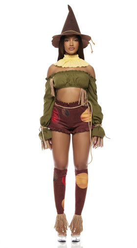 Straw For Brains Storybook Costume
