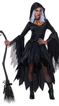 Bewitching Beauty Costume