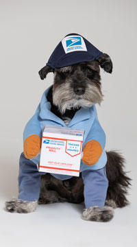 US Mail Carrier Pup Costume