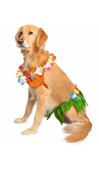Hula Hound Pet Costume