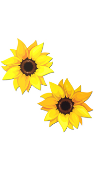 Gold Sunflower Pasties
